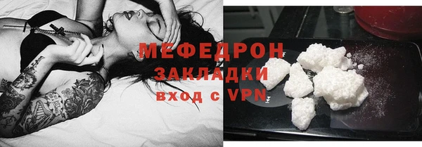 стаф Белокуриха