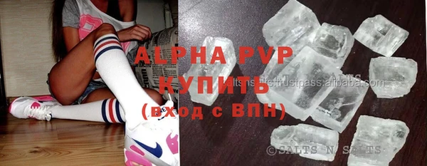 стаф Белокуриха
