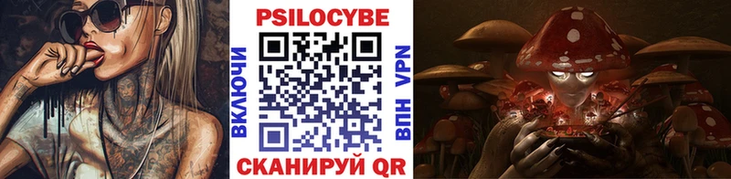 Псилоцибиновые грибы GOLDEN TEACHER  kraken ССЫЛКА  Вельск 